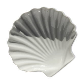 Coquillage en porcelaine