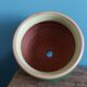 Glazed terracotta flower pot
