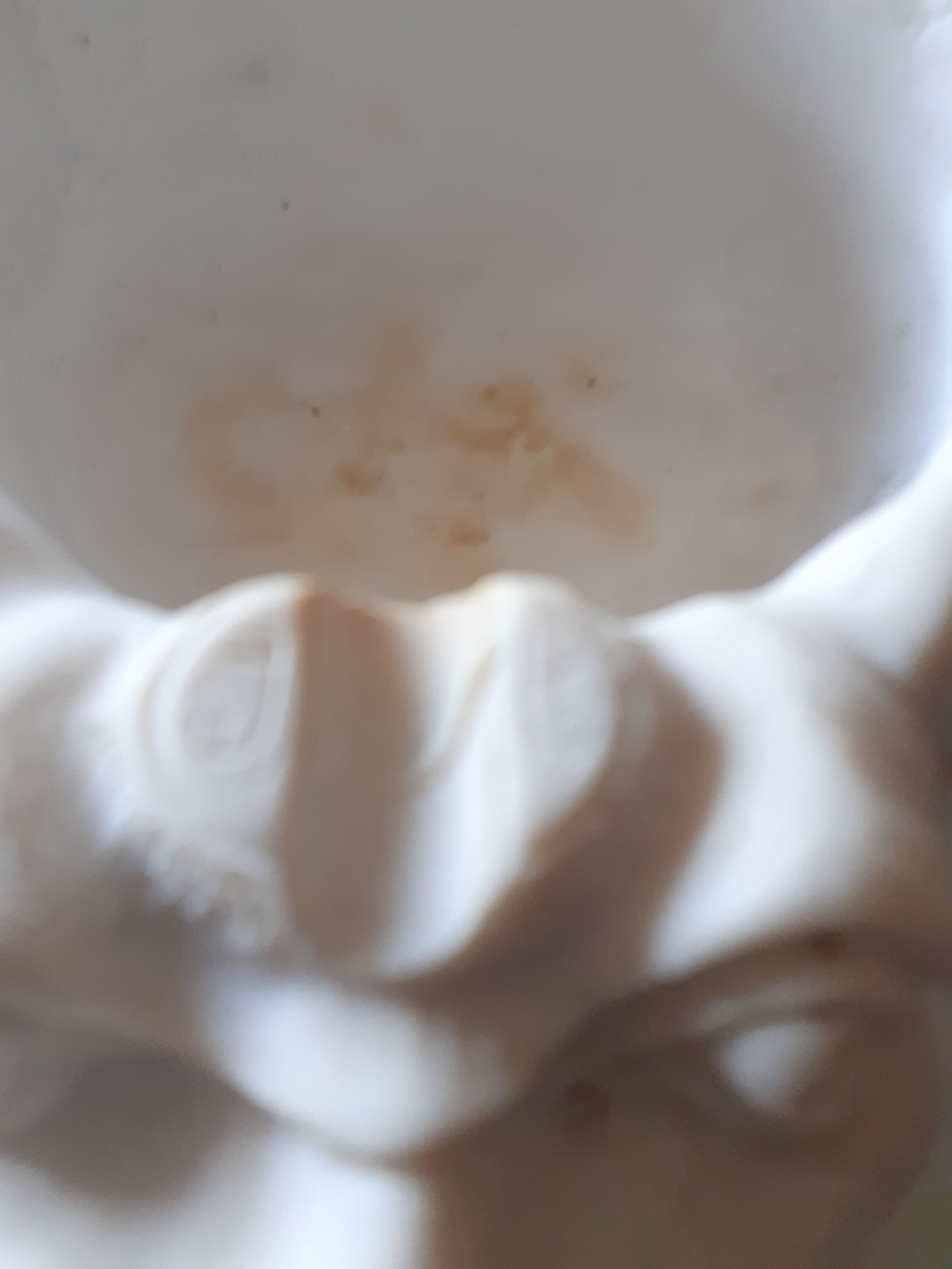 Plaster dragon ashtray