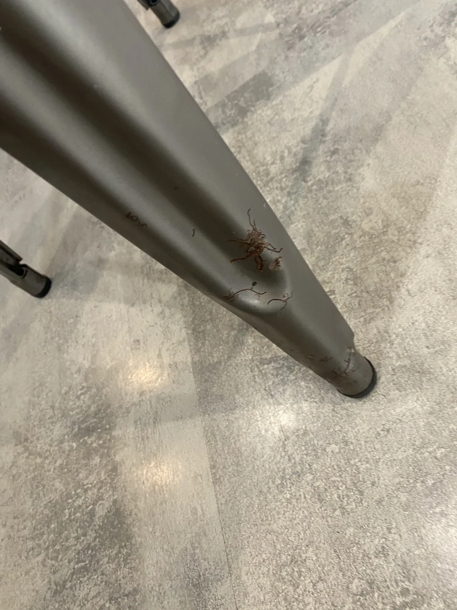 Tolix h75 industrial high bar stool, stackable, varnished metal.