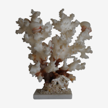 Coral on pedestal
