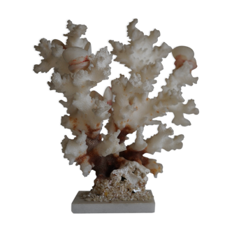 Coral on pedestal