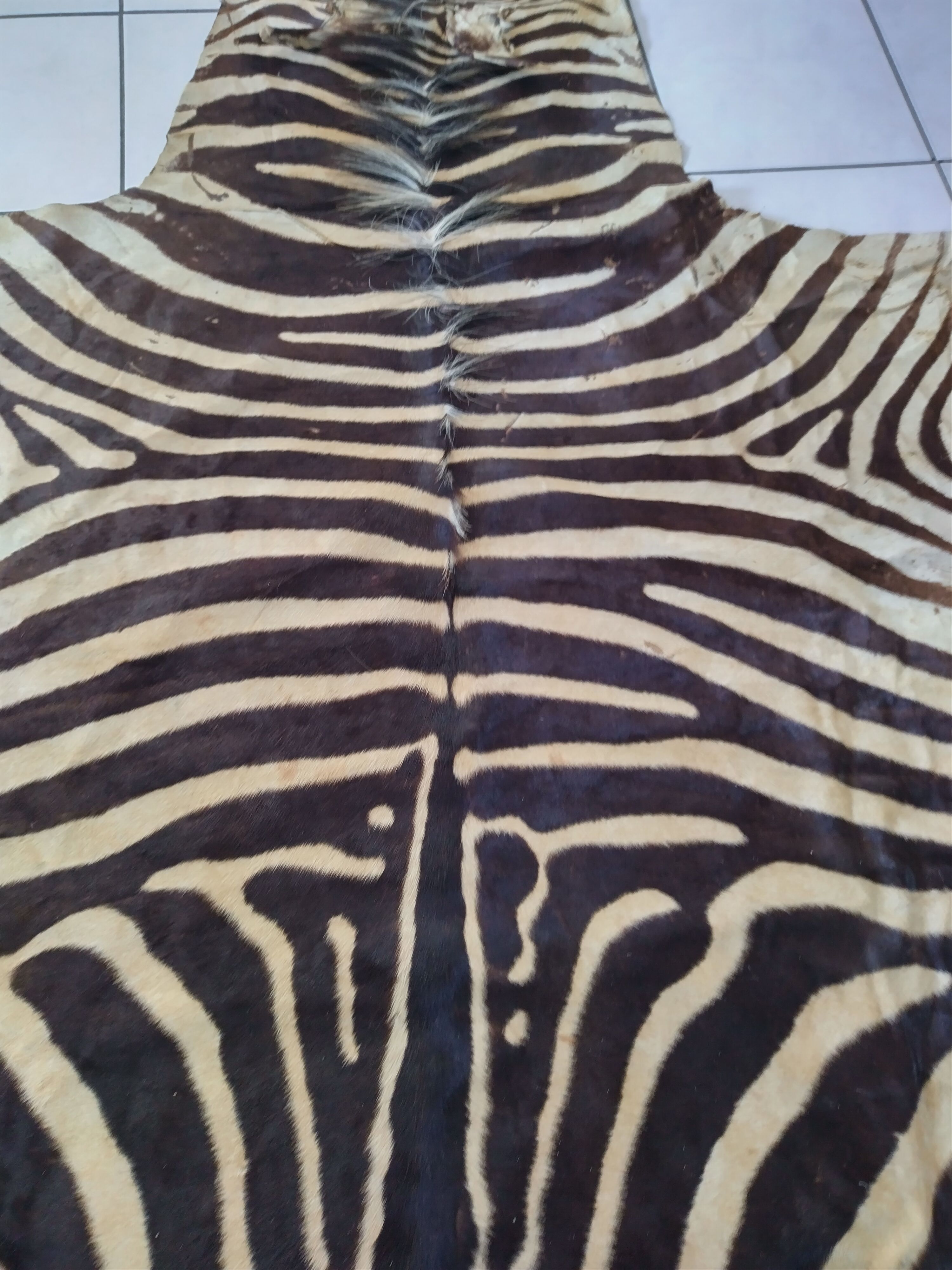 Zebra skin