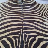 Zebra skin
