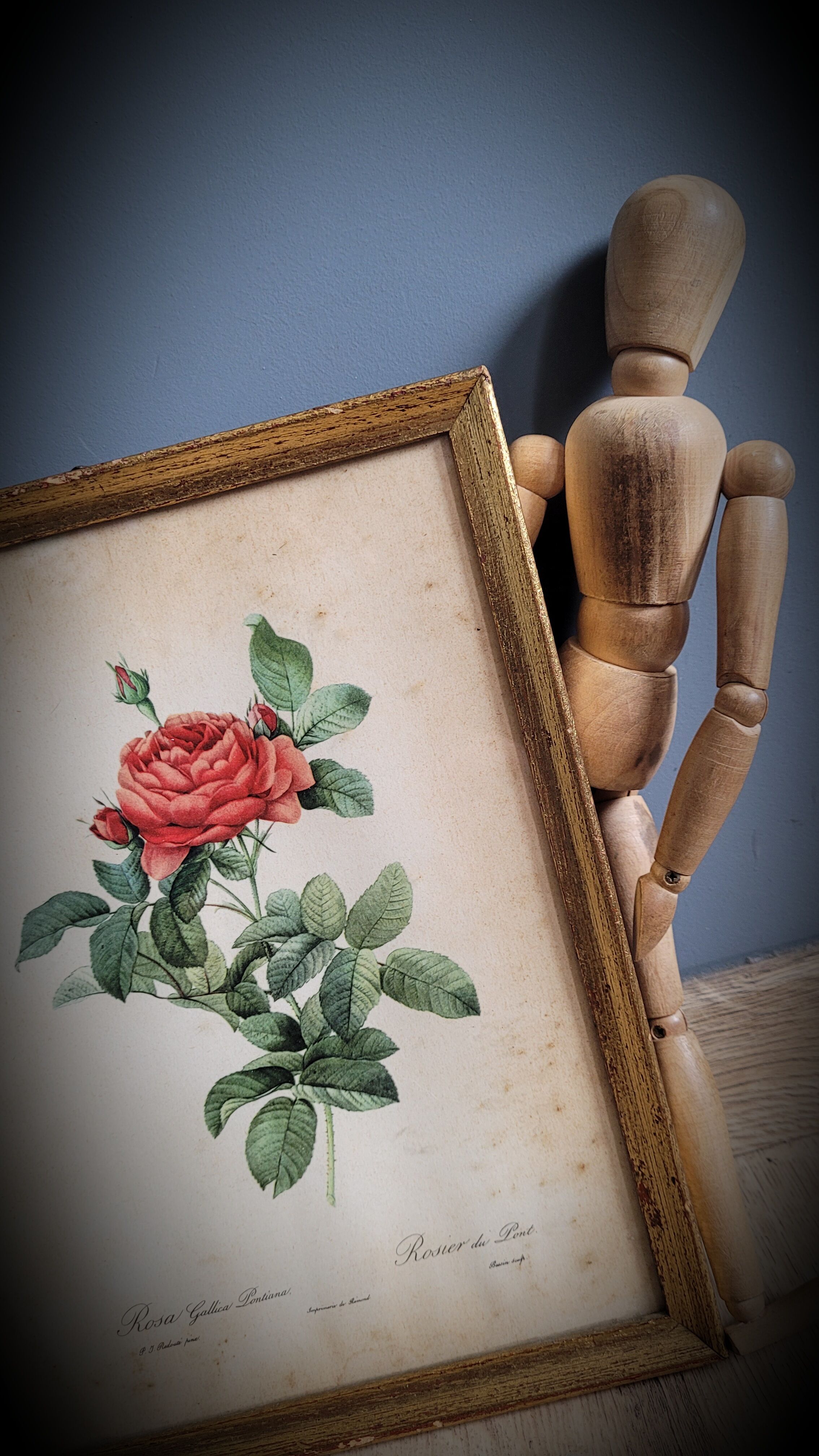 Litho rose of Pont P