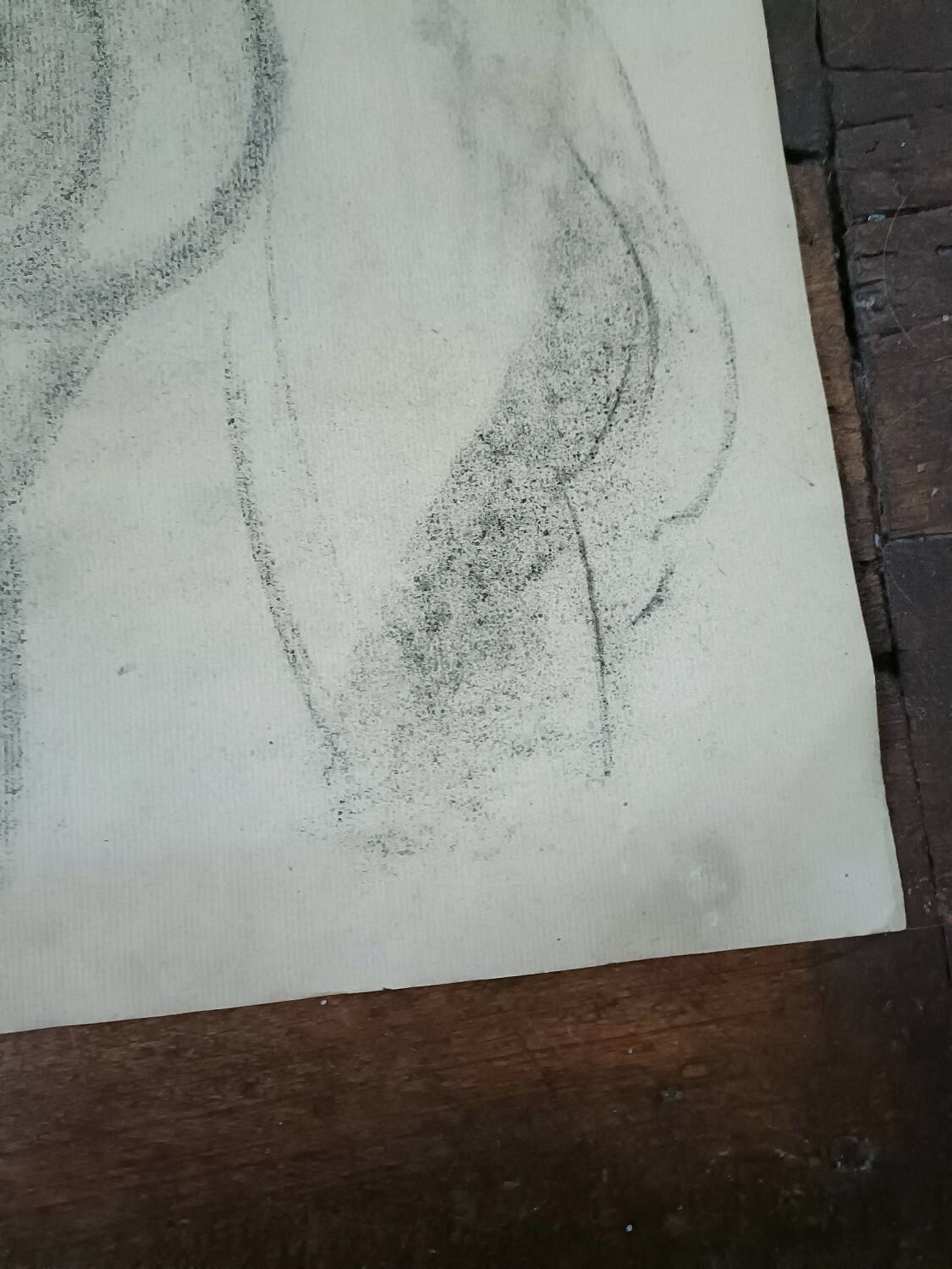 Study, drawing, nude