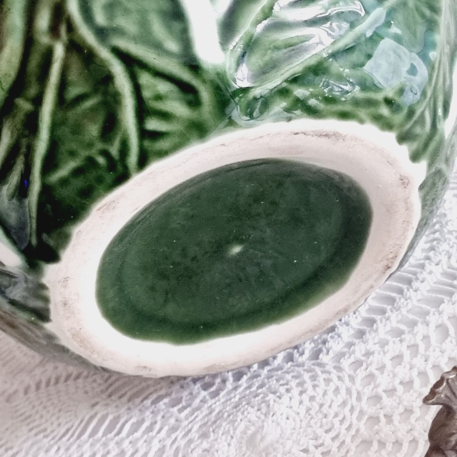 Cabbage slip salad bowl