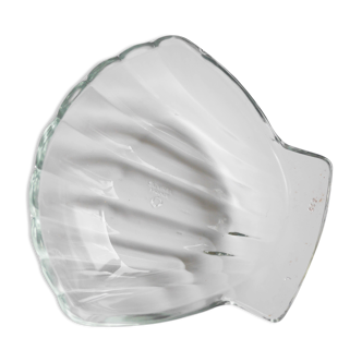 Seashell cup