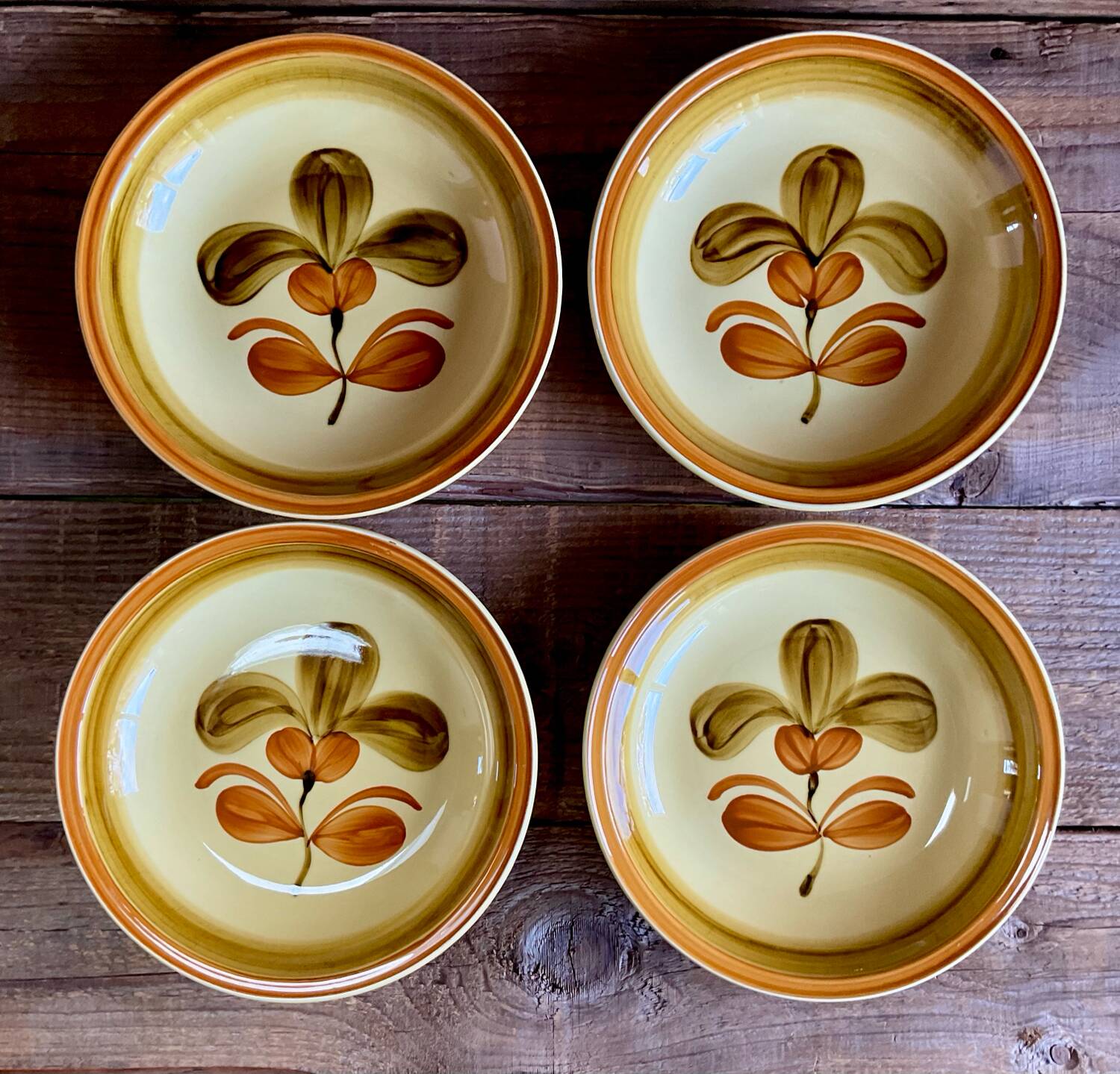 4 deep plates "Fuego" Gien France