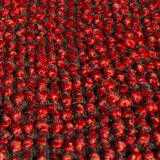 Miroslav Navratil armchair by Cesky Nabytek, fifties