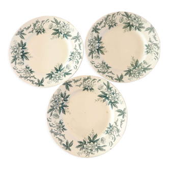 3 plates iron earth model anemone