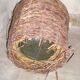 Old glass in her wicker basket demijohn