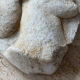 Bas-relief style antique