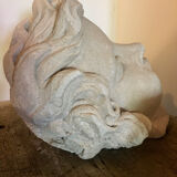 Plaster head