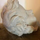 Plaster head