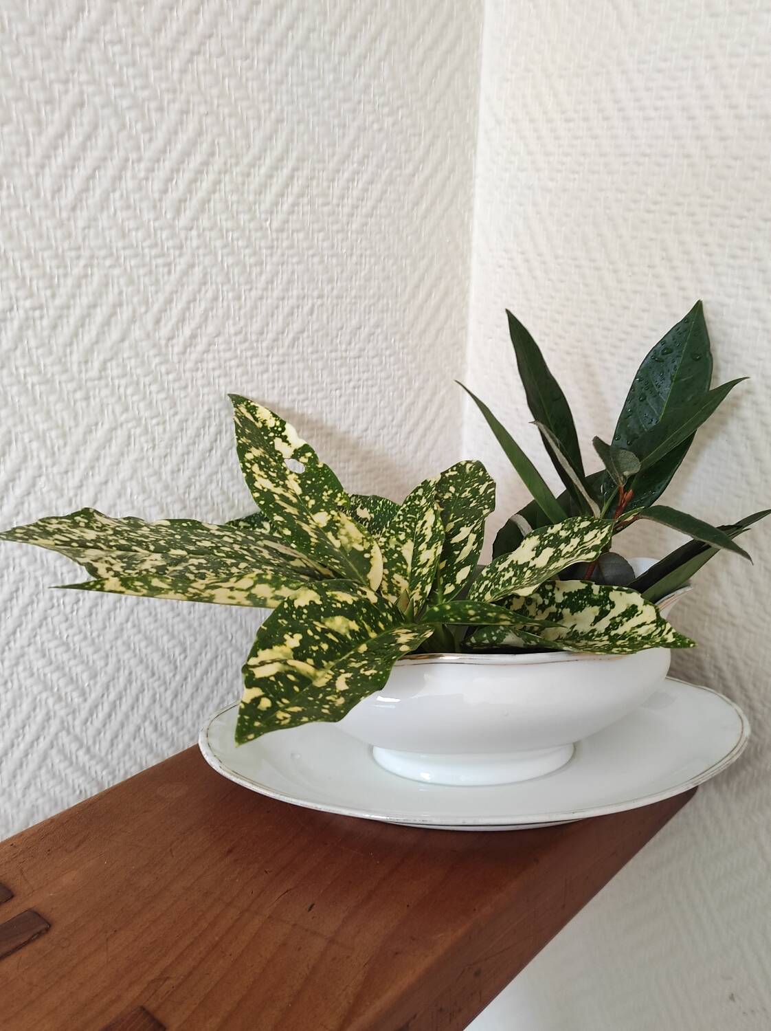 Saucière en porcelaine