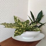 Saucière en porcelaine