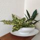 Porcelain sauceboat