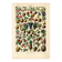 Gravure ancienne de 1923 - Fruits du monde - planche