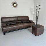 Antique buffalo leather sofa and pouf, de sede n' 18 design, from the 80s