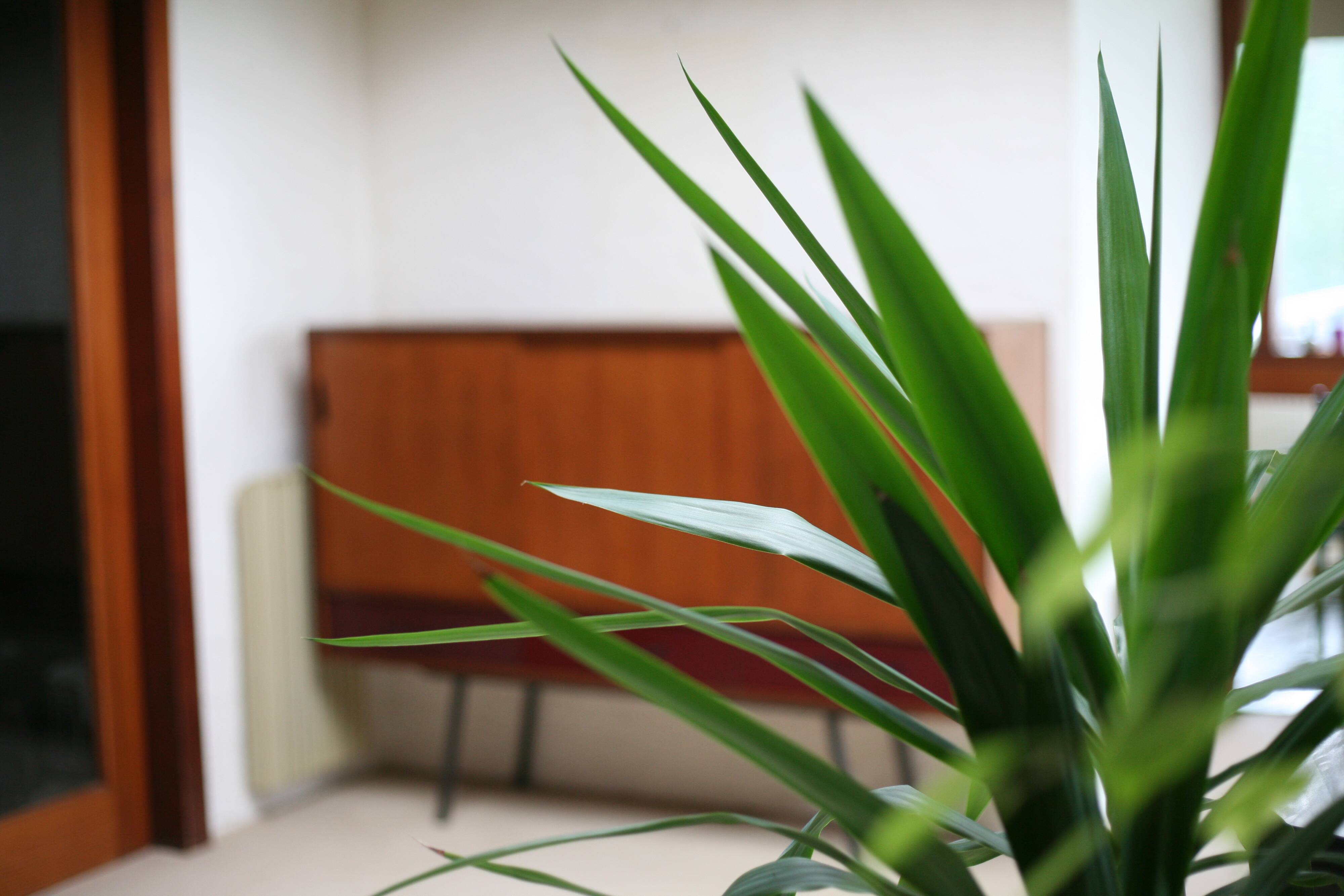 Bahut 102 by Janine Abraham, tv furniture edition, France, 1953