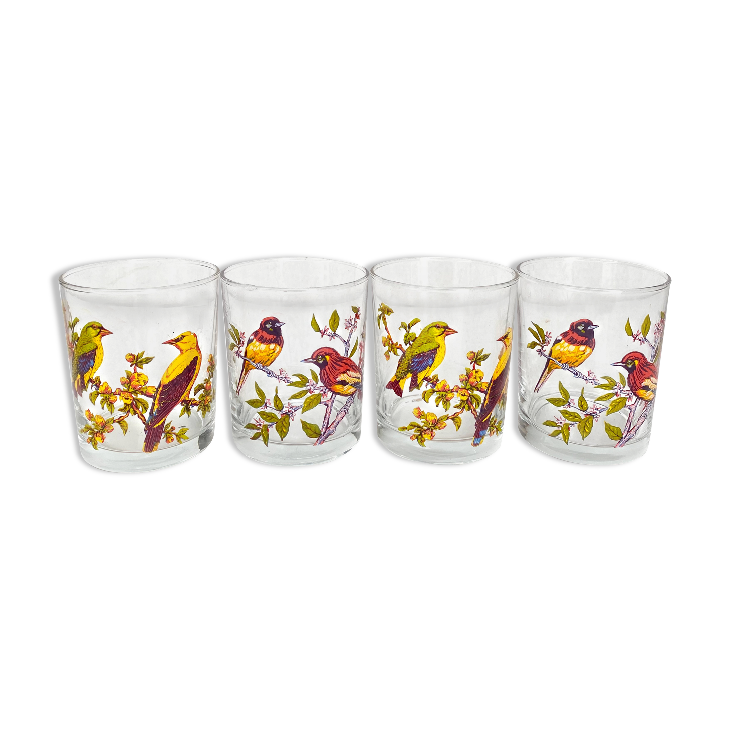 Verres à eau vintage oiseaux