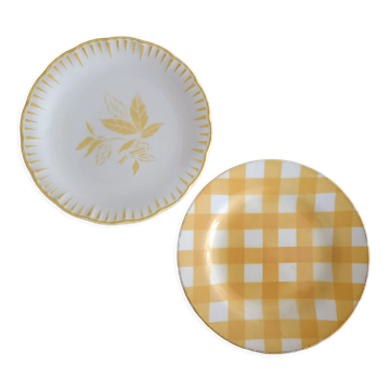 Lot de 2 assiettes terre de fer dépareillées Digoin