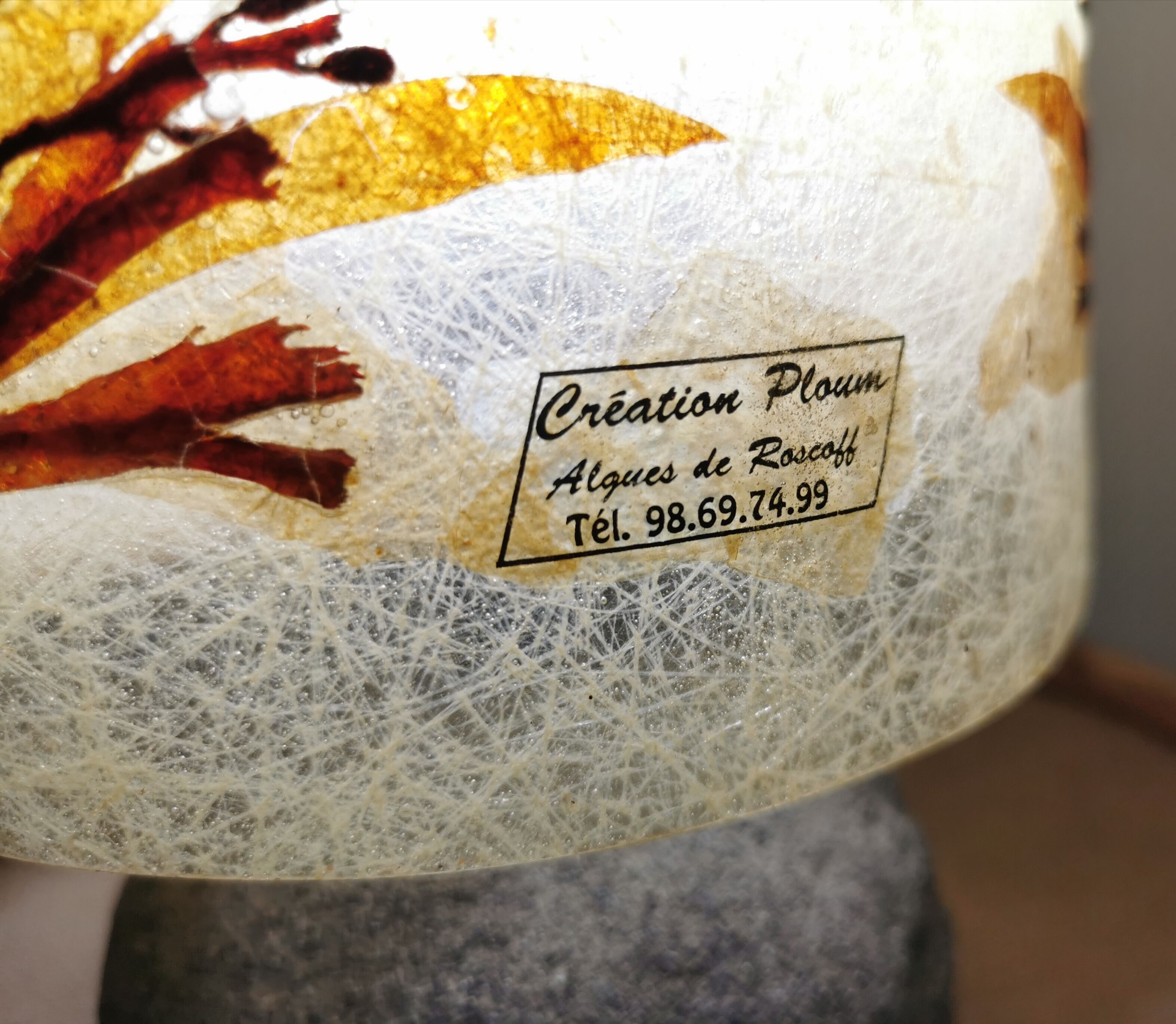 Stone and seaweed herbarium lamp