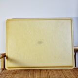 Camaïeu fiber tray