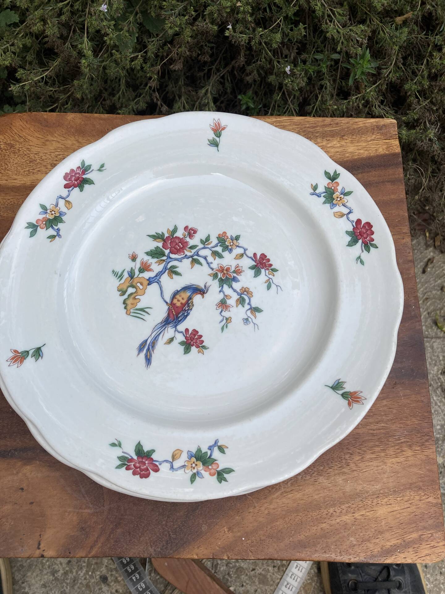 Flat plates with scalloped edges Sarreguemines bohemian chic
