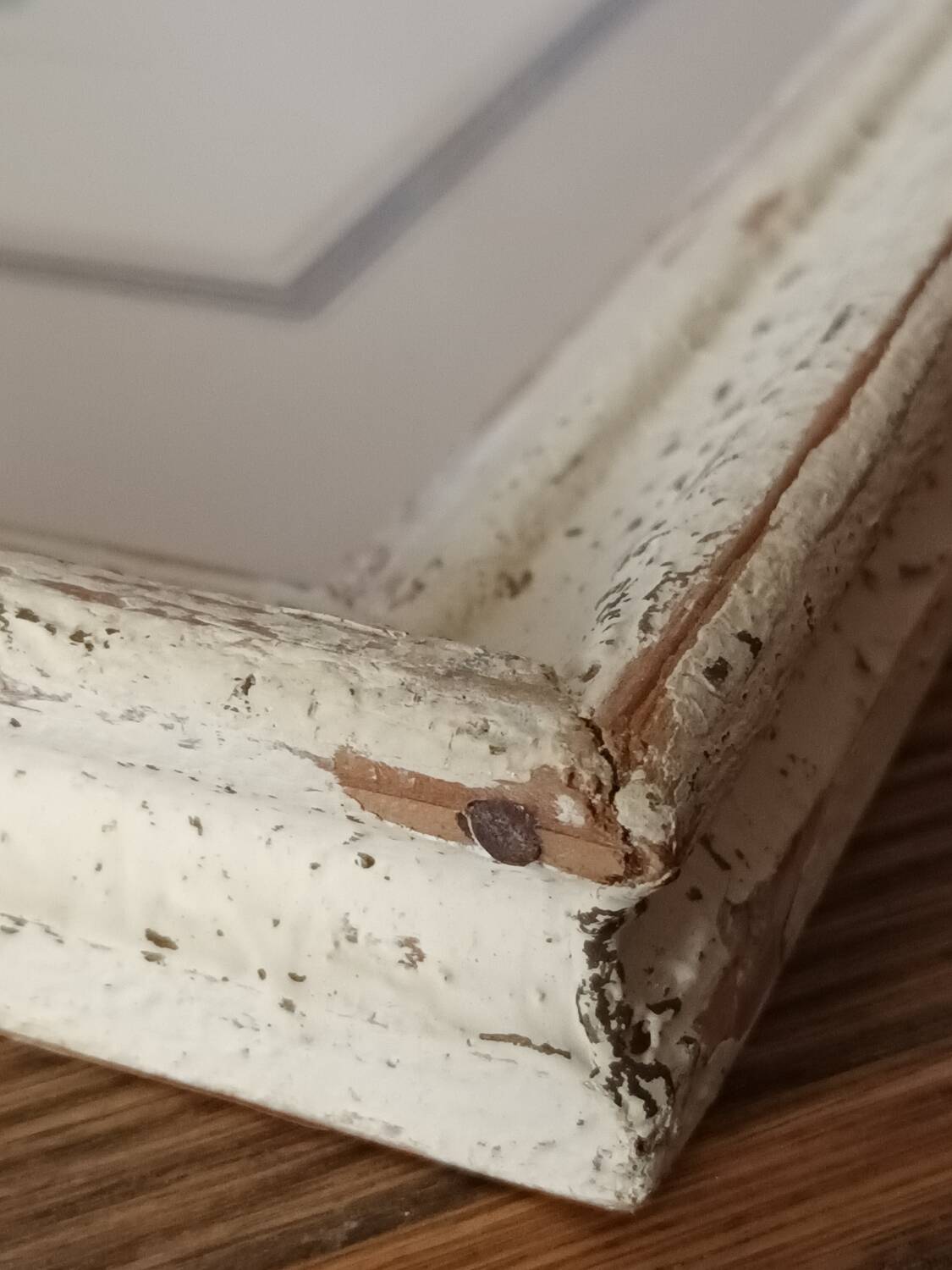 Vintage Redouté Botanical Lithograph