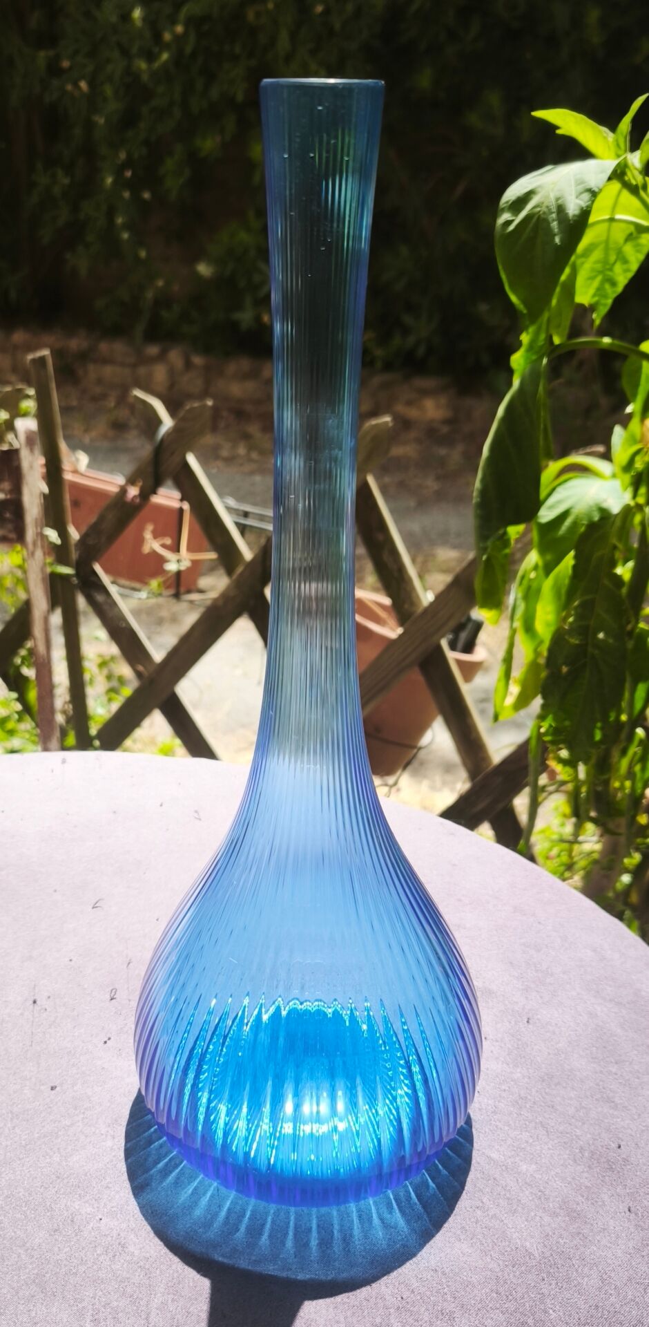 Vase berluze bleu daum