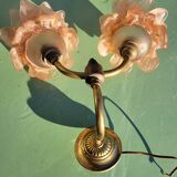 Double wall light