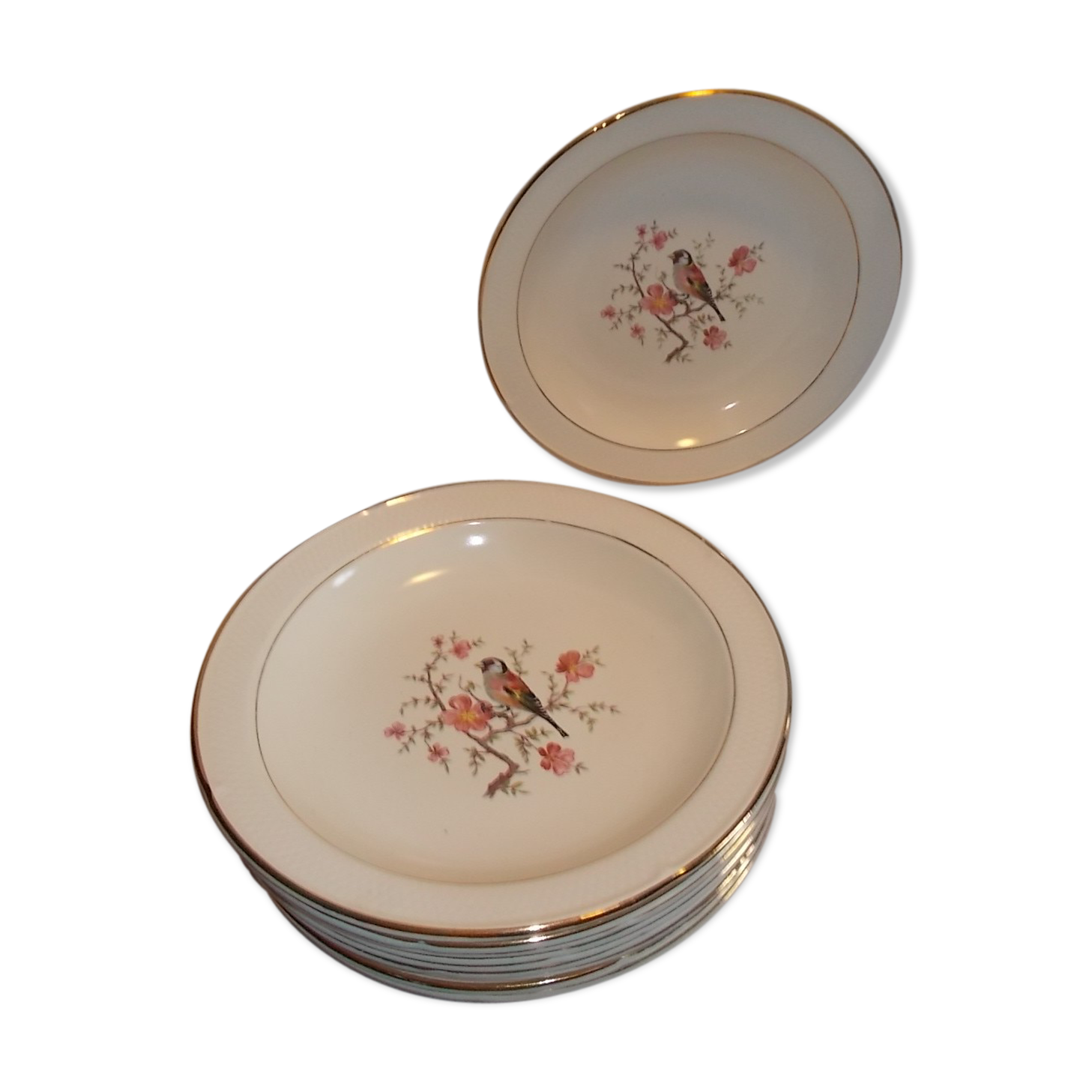 Suite 10 hollow plates saline France