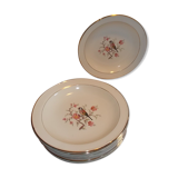 Suite 10 hollow plates saline France