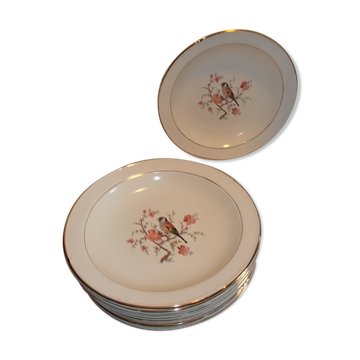 Suite 10 assiettes creuses salins France