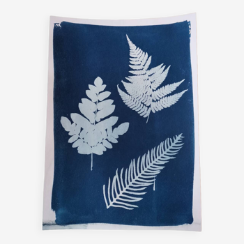 Vintage blue cyanotype fern leaves