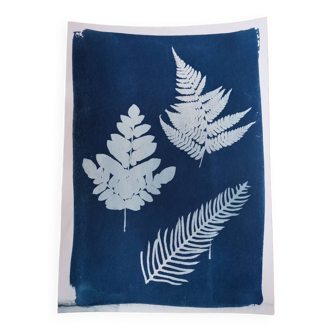 Vintage blue cyanotype fern leaves