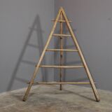 Fir and beech staircase