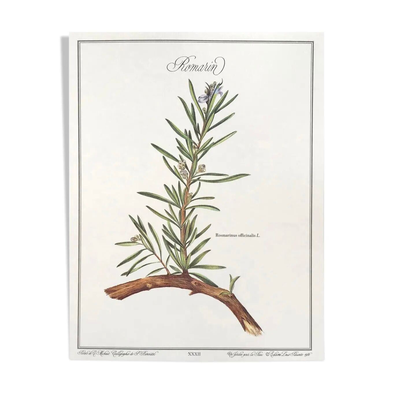 Botanical board rosemary