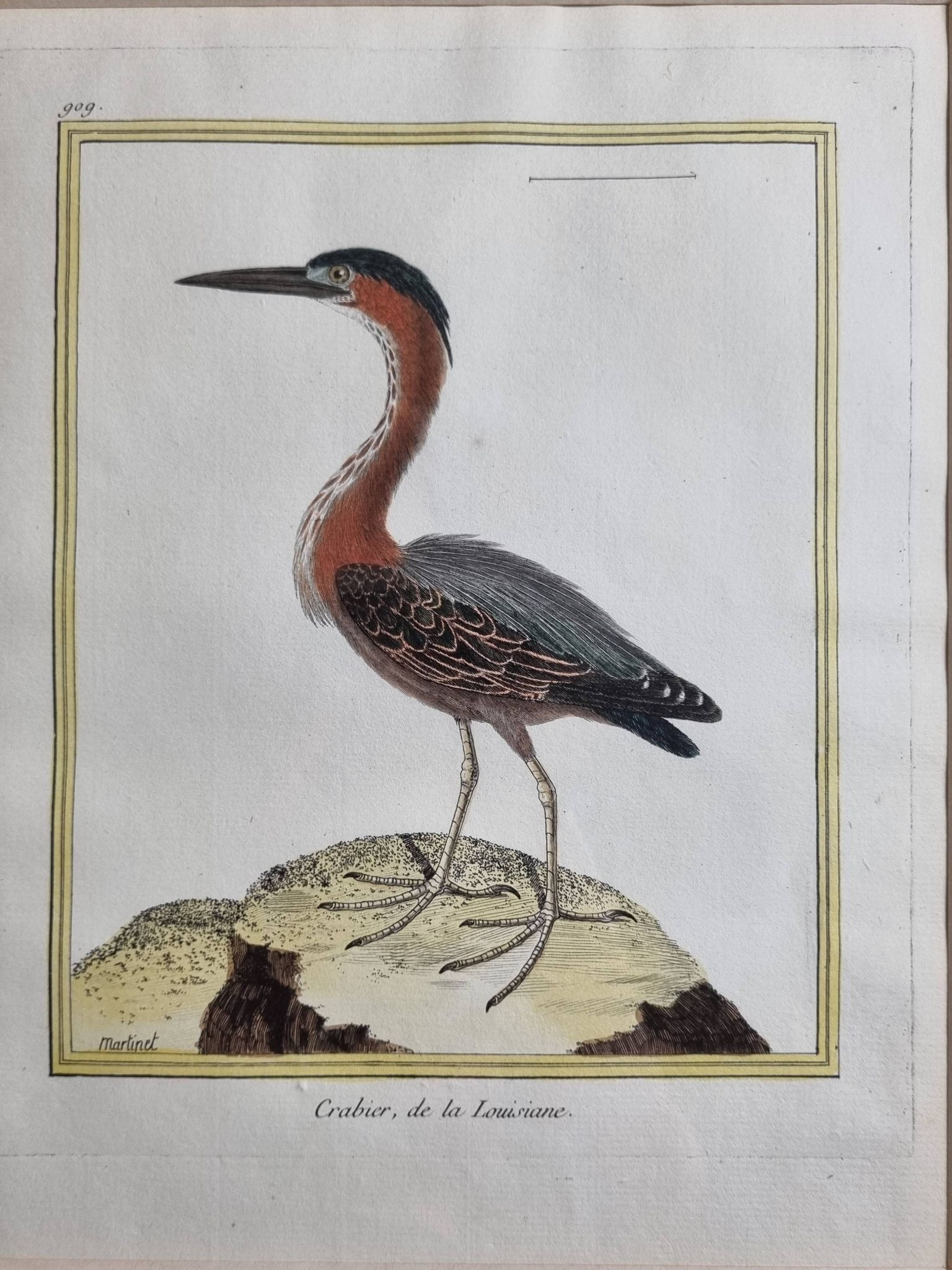 Original engraving by François Nicolas Martinet, 18th century, Louisiana crab fisher, framed,