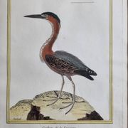 Original engraving by François Nicolas Martinet, 18th century, Louisiana crab fisher, framed,
