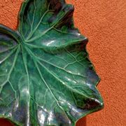 Retro leaf pocket emptier