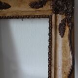 Old frame molding plant patterns