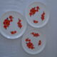 3 flat plates Lotus arcopal france orange diameter 22.5 cm