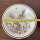 Set of 2 Grindley English ceramic plates.