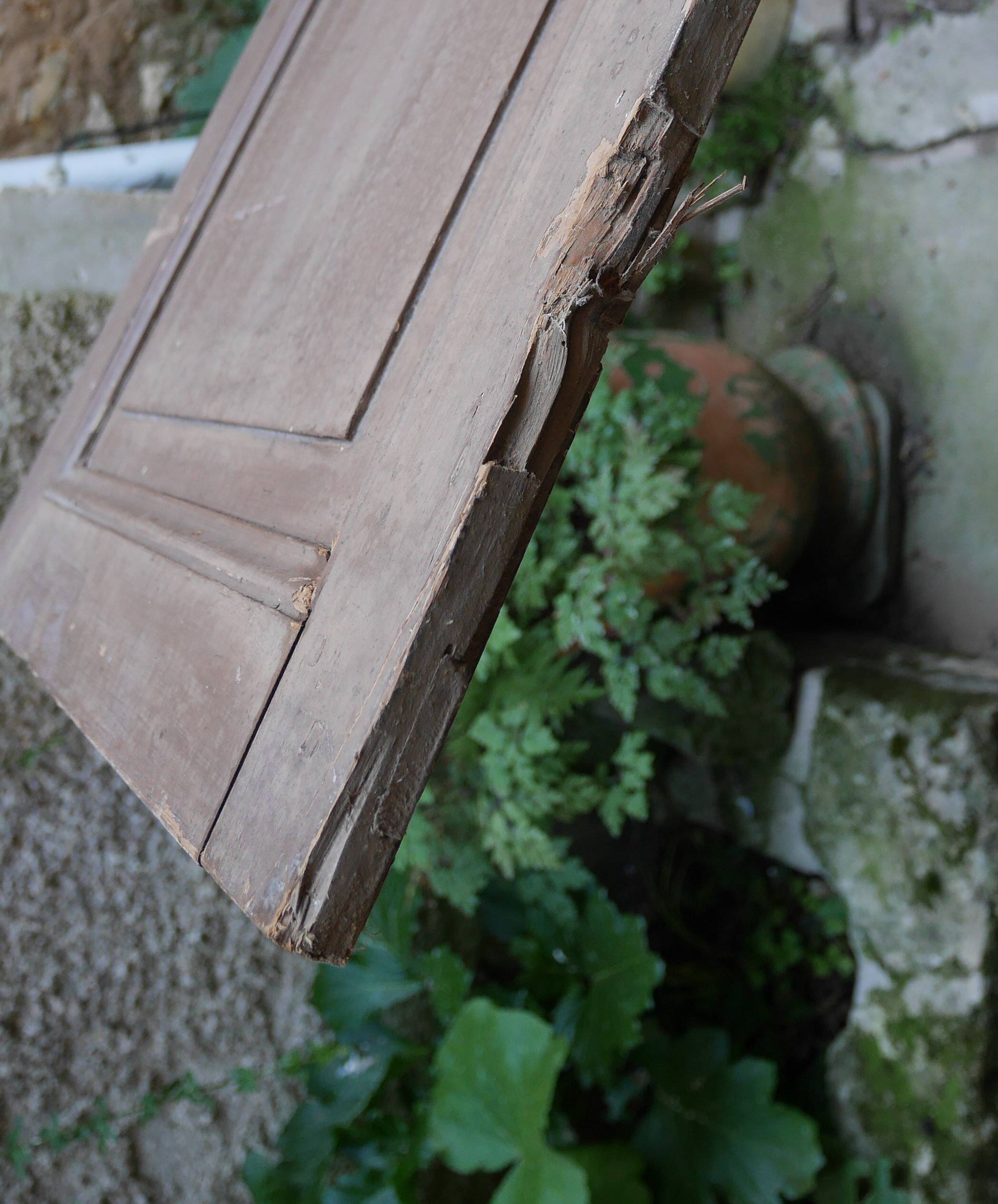 pair of large old wooden doors