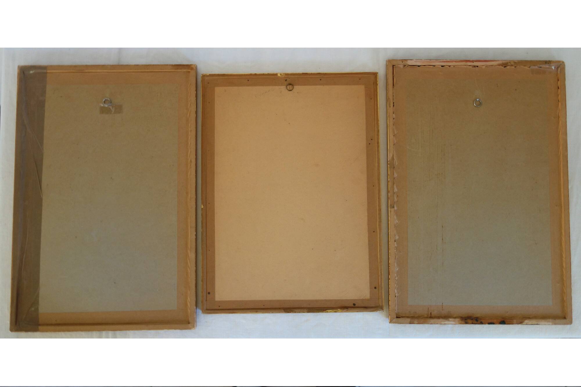 3 framed antique bird engravings