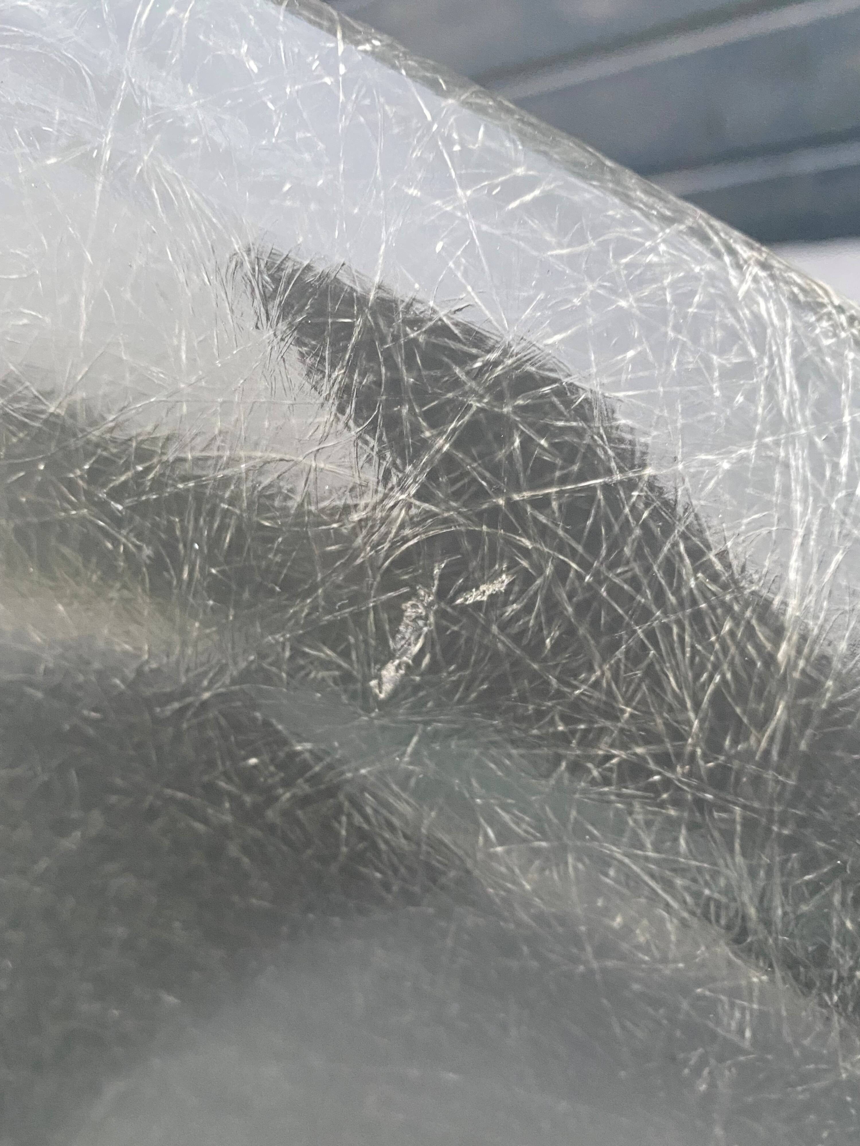 Eames RAR chair elephant grey zenith plastics Herman Miller