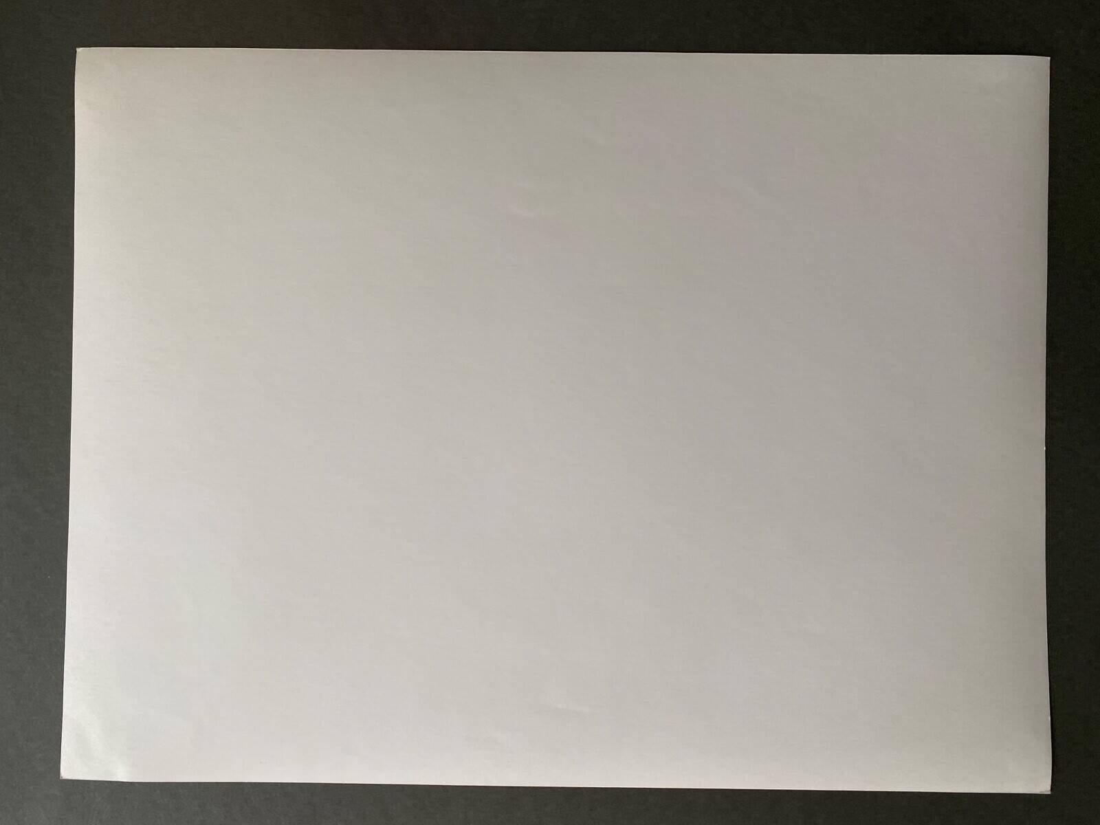 Silver photo Bernard Darot 20th statue La Force